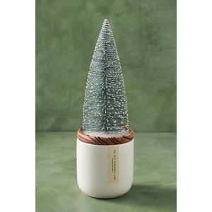 ANTHROPOLOGIE Frosted Bottle Brush Tree Candle